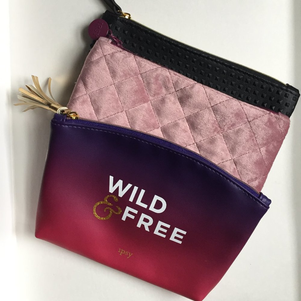 ipsy make up bags